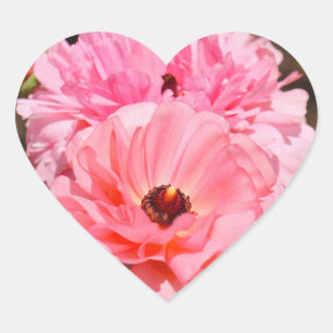 Knallar i rosa hjärtformat klistermärke