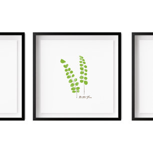 Knapp Fern Illustration   Fern Series Poster