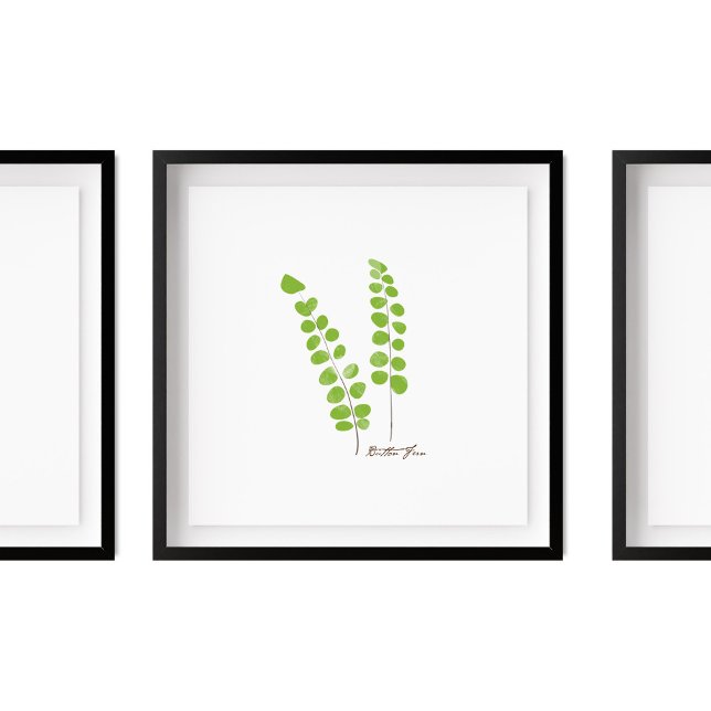 Knapp Fern Illustration | Fern Series Poster (Skapare uppladdad)