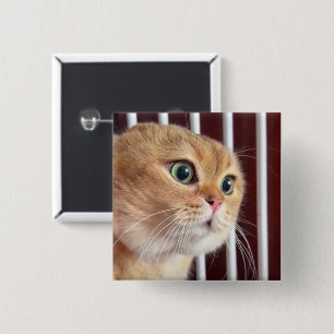 Knapp för att prata katter PM-stift