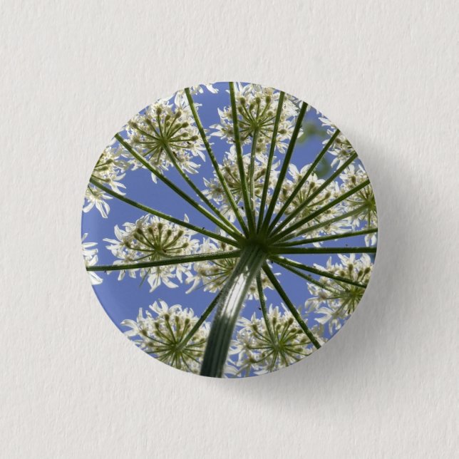 Knapp för blomning (Hogsweed) / Badge (Framsida)