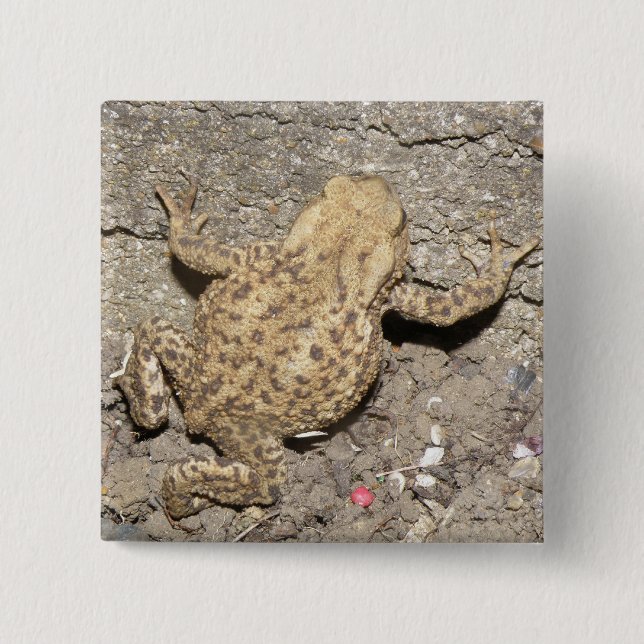 Knapp för Cute Crawling Toad (Framsida)