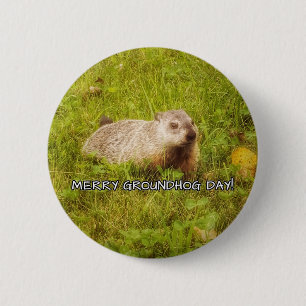 Knapp för Groundhog-dag