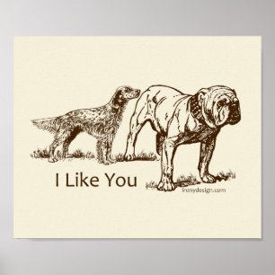 Knapp för hund poster