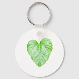 Knapp för vanlig bipacksedel nyckelring