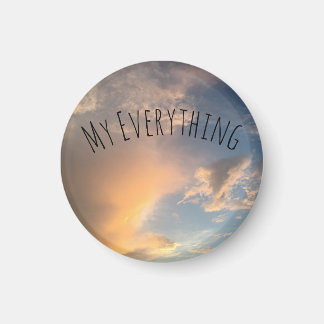 Knapp, magnet, stift magnet