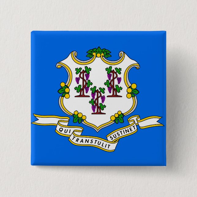 Knapp med Flagga av anslutning (Framsida)