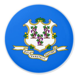 Knapp med flagga av Connecticut, USA Knopp