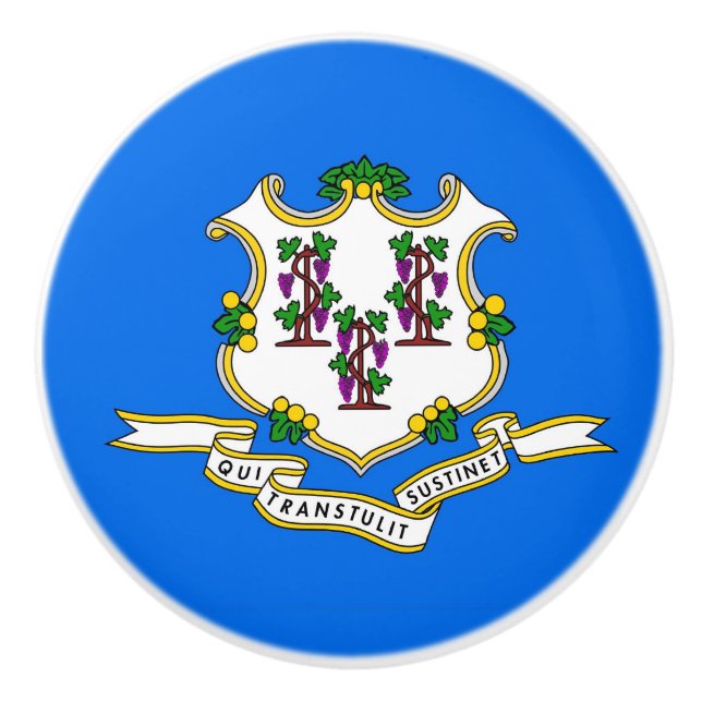 Knapp med flagga av Connecticut, USA Knopp (Framsidan)