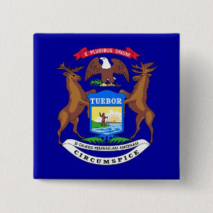 Knapp med Flagga Michigan
