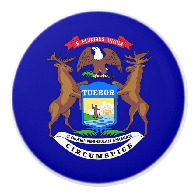 Knapp med flagga Michigan Knopp (Framsidan)