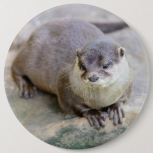 Knapp med småskalig smör