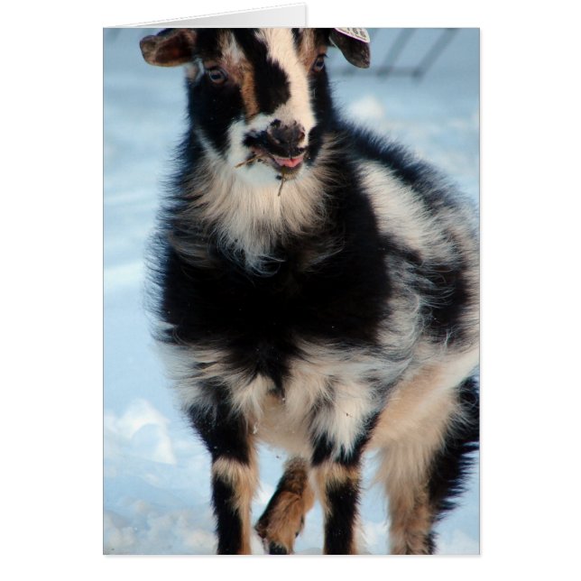 Knappar Hälsningskort (Framsidan)