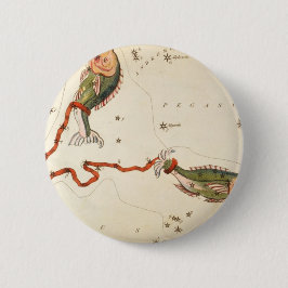 Knapparna "Zodiac Sign: Pisces" Knapp