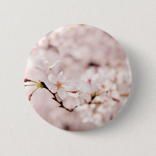 Knäppas den körsbärsröda blommar Bokeh för vi Knapp