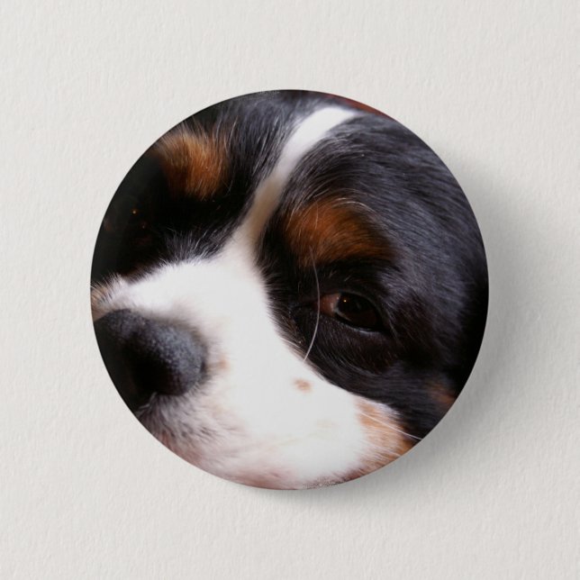 Knäppas den stolt Spanielrundan för kungen Charles Knapp (Framsida)