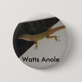 Knäppas watt den Anole reptilen Knapp