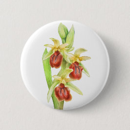 Knappbricka för vattenfärgsknapp för spindelfärgsm knapp