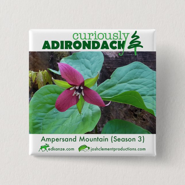 Knappen Adirondack (Ampersand Trillium) Knapp (Framsida)