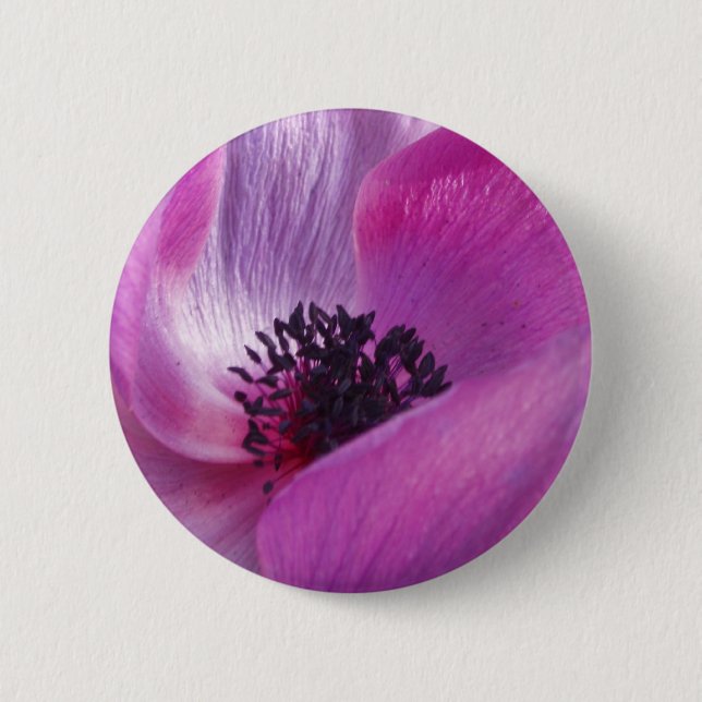 Knappen Anemone Knapp (Framsida)