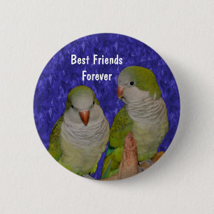 Knappen Bästa vänner Cute Birds Vänskap Knapp