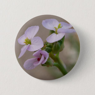 Knappen blek Flowers Knapp