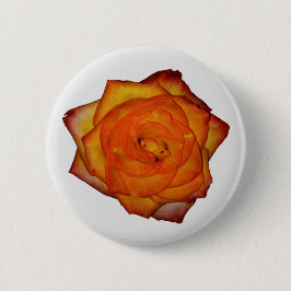 Knappen Bränn Orange Ro Knapp