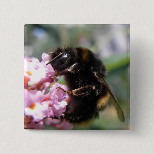 Knappen Busy Bumblebee och Rosa Flowers Knapp (Framsida)