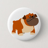 Knappen Cute English Bulldog
