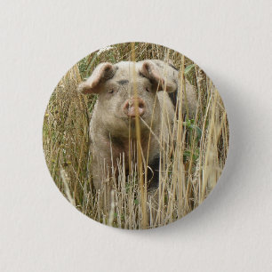 Knappen Cute Spotty Gris Knapp