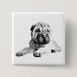 Knappen Cute Square Shar Pei Knapp