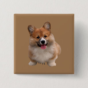 Knappen Cute Tan Welsh Corgi Square Knapp
