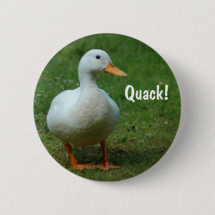 Knappen Cute white anka / bricka Knapp