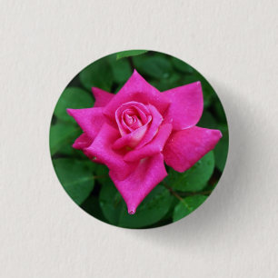 Knappen Enkelrunda Rosa ros Knapp