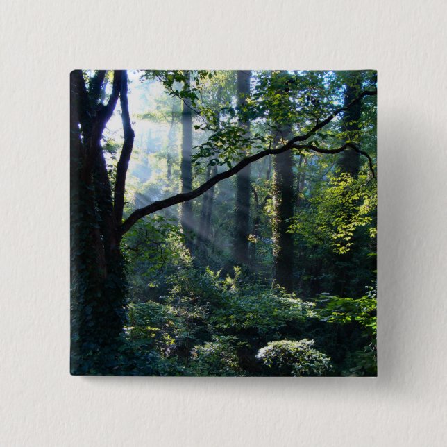 Knappen Första ljus Knapp (Framsida)