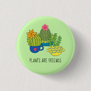 Knappen Friendly Plants Succulations Knapp