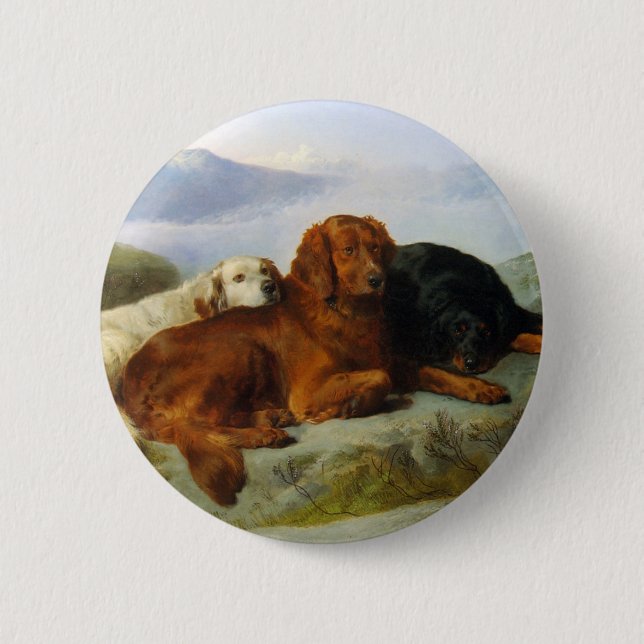 Knappen Golden Retriever, Irish och Gordon Setter Knapp (Framsida)