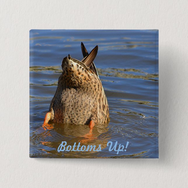 Knappen grund upp knapp (Framsida)