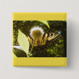 Knappen gult Monarch Knapp