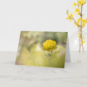 Knappen gultens blomma kort