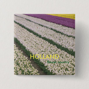Knappen Holland Tulips Square Knapp