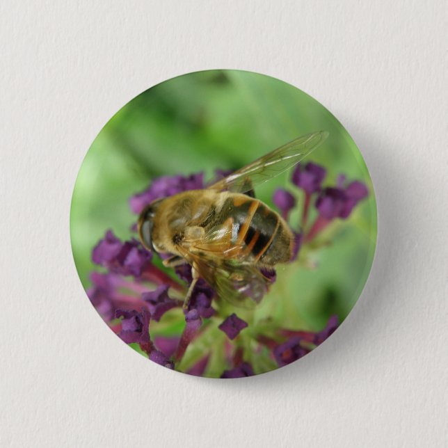 Knappen Honeybee och Lila blommor Knapp (Framsida)