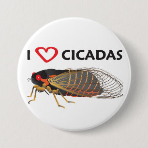 Knappen "I Kärlek Cicada" Knapp