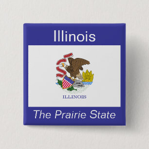 Knappen Illinoisan Flagga Knapp