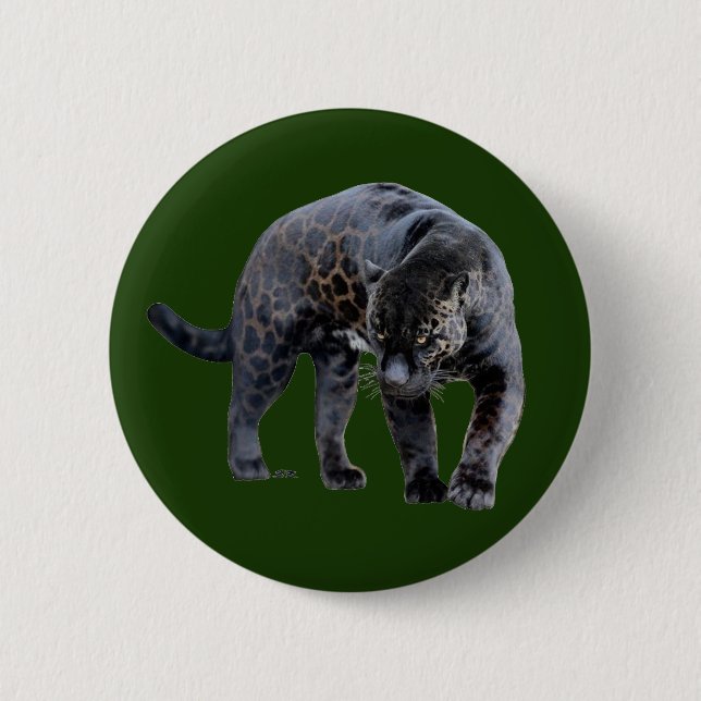 Knappen Jaguar Diablo grönt Knapp (Framsida)