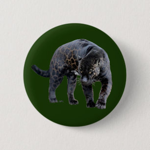 Knappen Jaguar Diablo grönt Knapp