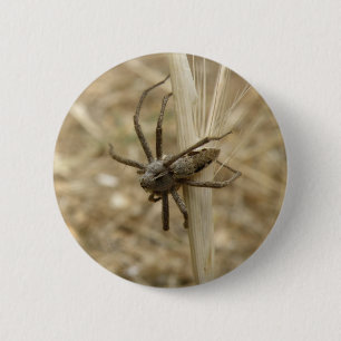 Knappen Krepy Crawly Spider Knapp