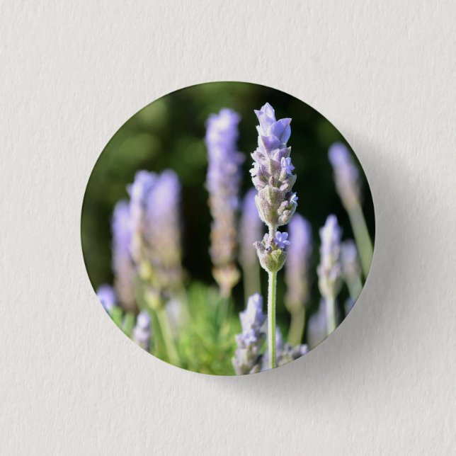 Knappen Lavender / Badge Knapp (Framsida)