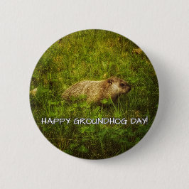 Knappen lycklig Groundhog Day! Knapp