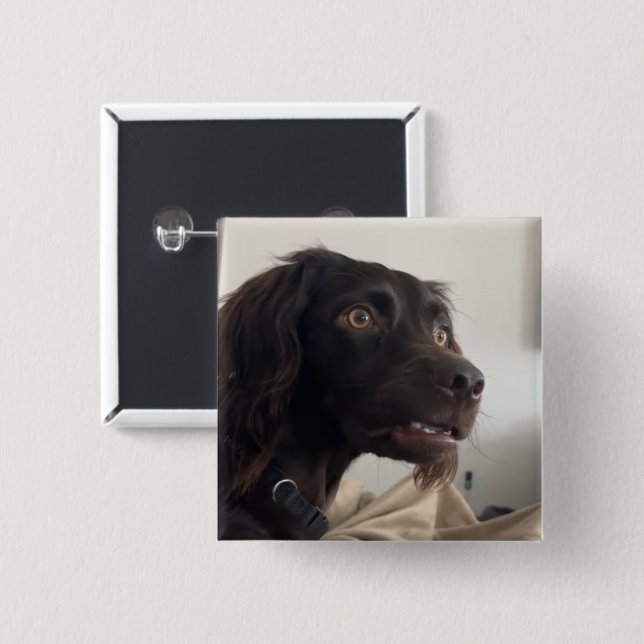 Knappen Minnesstift för Hund är förvirrad Knapp (Framsida & baksida)